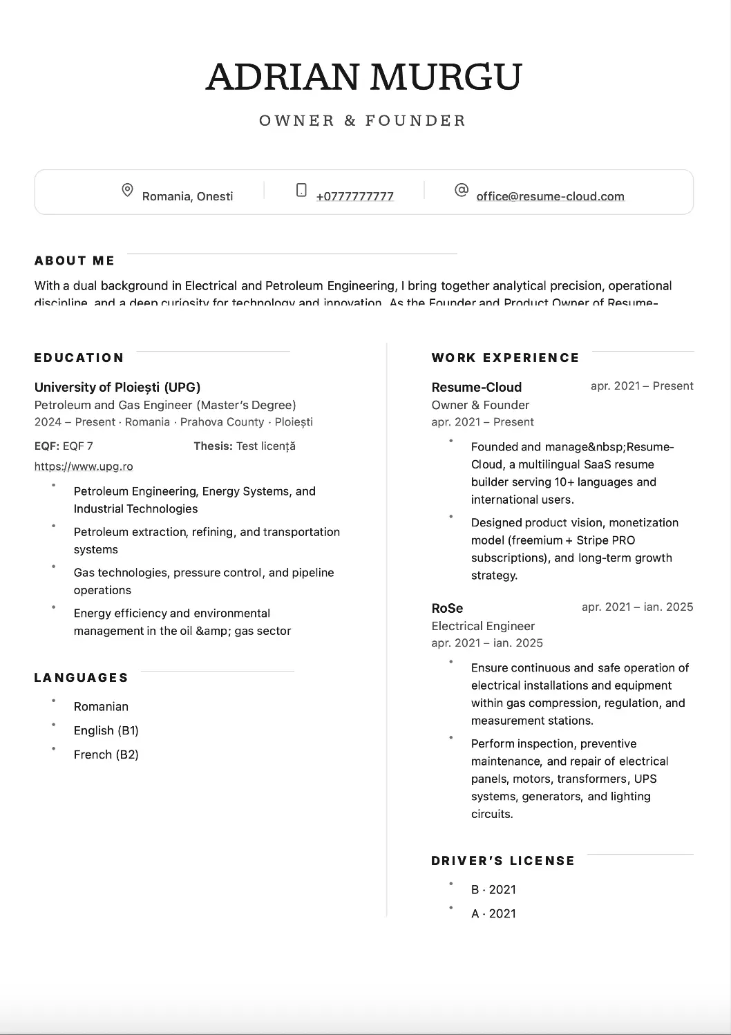 Previzualizare șablon CV